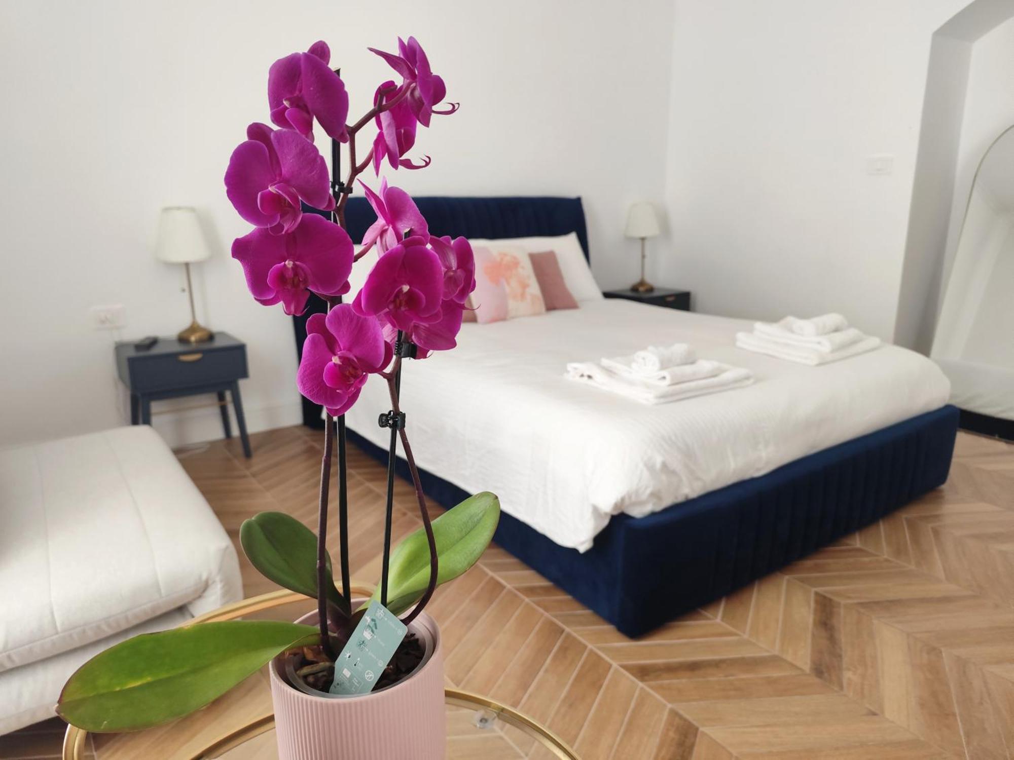 Vatican Eco Suite — Foto 3
